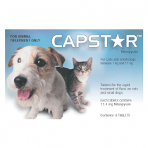 Capstar Perros hasta 11 kg 6 unidades