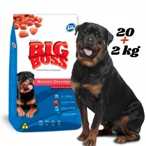 Big Boss Adulto 20+2 kg y Snacks