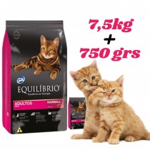 Equilibrio Gato Adulto 7.5 kg 