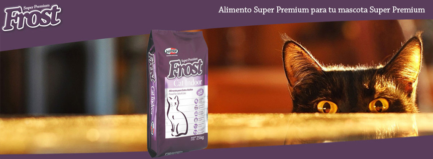 Alimentos Frost para Gatos en TUVET