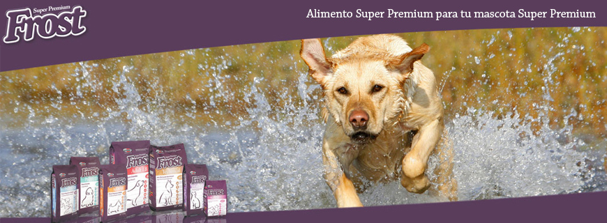 Alimentos Frost para Perros en TUVET