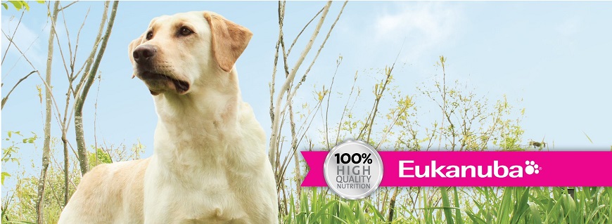 Alimento Eukanuba para perros en TUVET