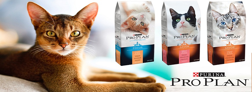 Alimentos para gatos Pro Plan en TUVET